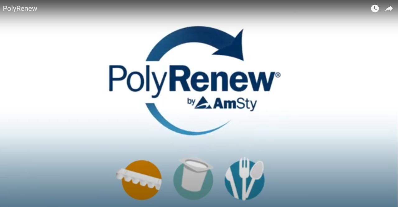 PolyRenew-Image